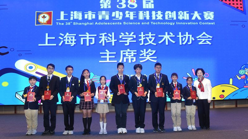 智慧解决方案定制：优缺点全面解析